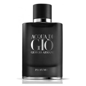 ACQUA DI GIO PROFUMO – Perfume